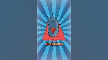 This Is How Superbugs Are Born (And It’s Kinda Your Fault)