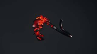 Differential Mesh Growth Experiments