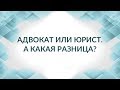 Адвокат или юрист?  В чем разница? Отличие адвоката от юриста.