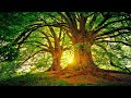 Beautiful Relaxing Music for Stress Relief - Soothing Piano Music for Well-being