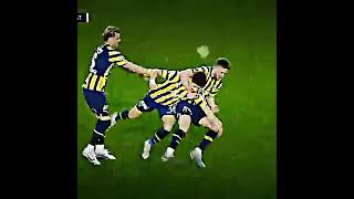 Keşke Fener,De Kalsaydı Bee Im Şfet