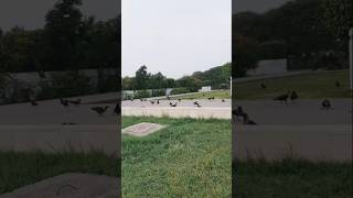 kauwa party hori hai mazar e quaid py #khushimemonvlogs