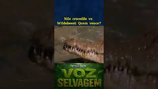 #biology #curiosidades #documentary #mundoanimal #animals #natureza #wildliferescue #wildlife