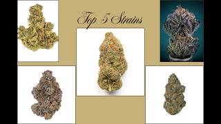 Strongest Strains of 2026