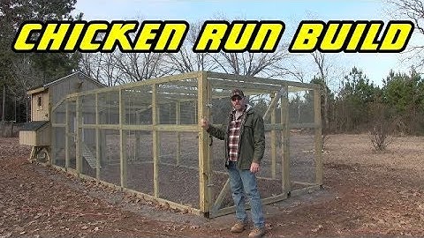 Chicken run build
