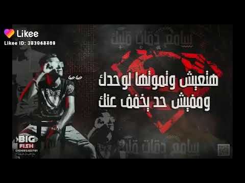 مهرجان عصام صاصا بتخبط في وخبط فيها 