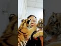 #babytigers