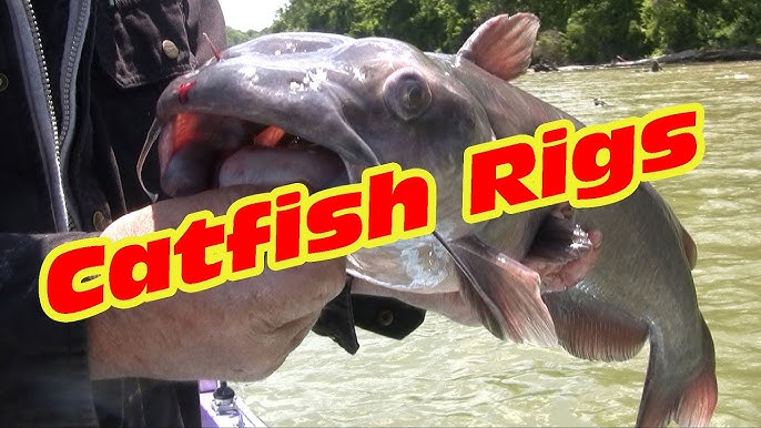 Drift fishing for Catfish:Tips and Rigs 