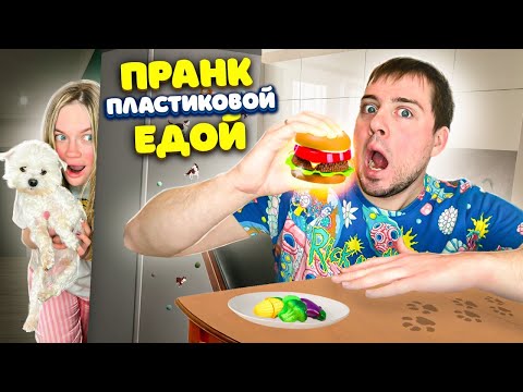 ПЛАСТИКОВАЯ ЕДА vs ОБЫЧНАЯ ЕДА пранки НАД ЗВЕРОПАПОЙ