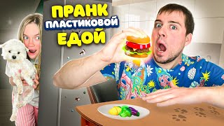 ПЛАСТИКОВАЯ ЕДА vs ОБЫЧНАЯ ЕДА пранки НАД ЗВЕРОПАПОЙ