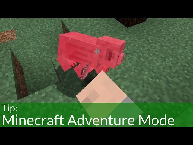 Minecraft Adventure Jogo