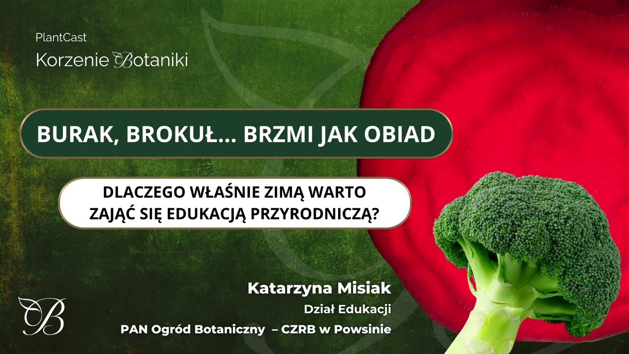 Burak, brokuł... brzmi jak obiad. Dlaczego właśnie zimą warto zająć się edukacją przyrodniczą?