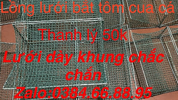 LỢP BẪY CUA ĐỒNG - CUA BIỂN