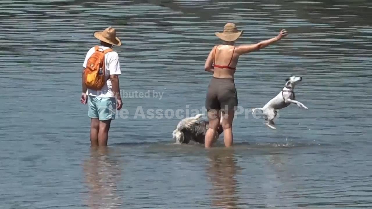 Belgrade residents head to Danube river to cool off in heat wave