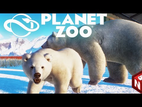 Видео: О дополнении Planet Zoo: Arctic Pack!