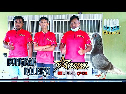 Video: Dari Merpati Hingga Naga. Bagaimana Keseluruhan Zoo Muncul Di Langit Berbintang - Pandangan Alternatif