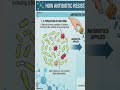 How Superbugs Evolve! 🧬 Antibiotic Resistance Explained