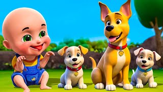 bingo baby s first pet old macdonald had farm nursery rhymes