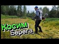 Косим берега пруда! Бензиновым триммером