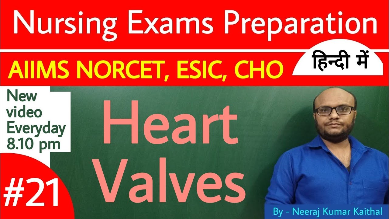 heart valves I heart valves explained in hindi I Norcet I esic YouTube