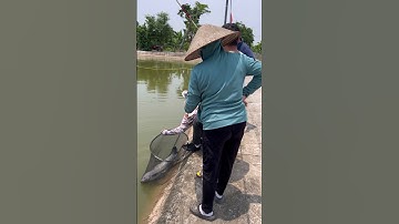 Có Hugo 👌 #vissen #kaukasisch #vis #karpervissen #karper