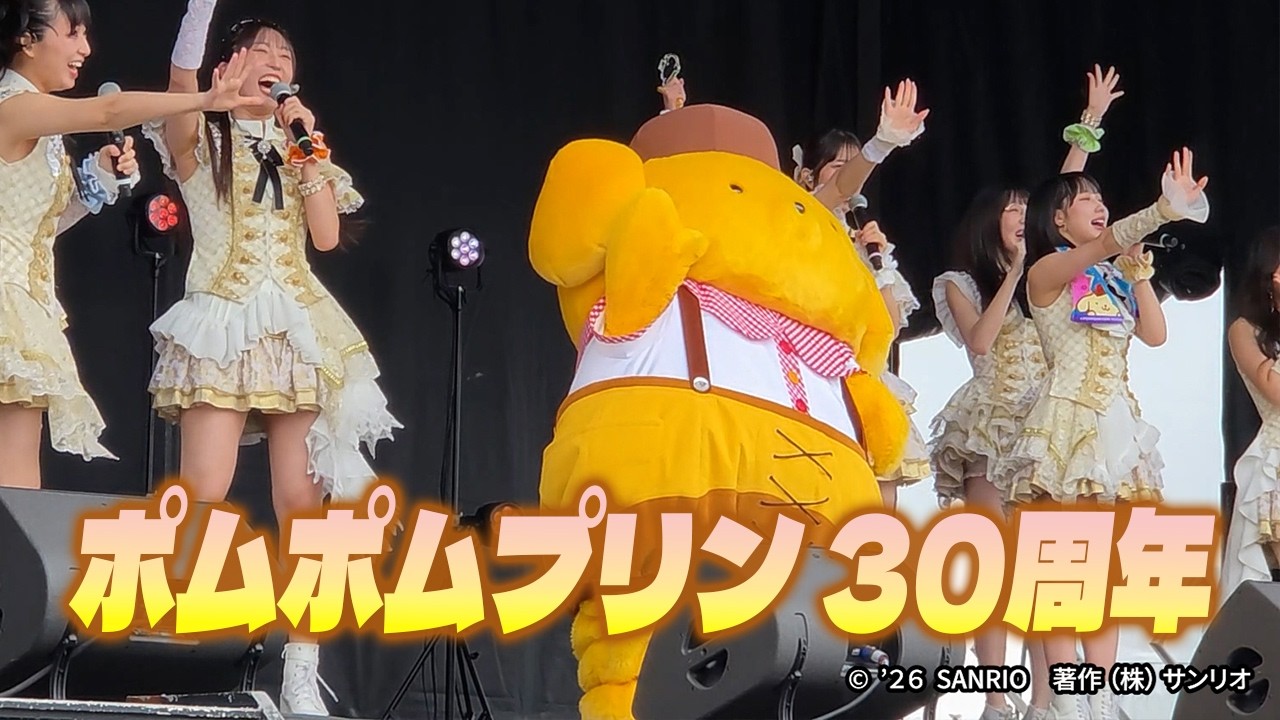 Pompompurin 30th Anniversary, 