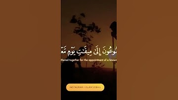 تلاوة خاشعة مؤثرة من سورة الواقعة  القارئ إسلام صبحي 😢😍❤️ حالات واتس اب دينية #اسلام_صبحي قصيرة