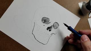 Cross-hatching Skull demonstration