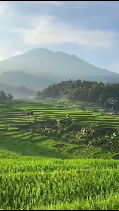 biru langit biru laut biru hareupan urang #doelsumbang #music #gunung