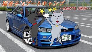 「猫音子`sブートキャンプ」～Assetto Corsa～