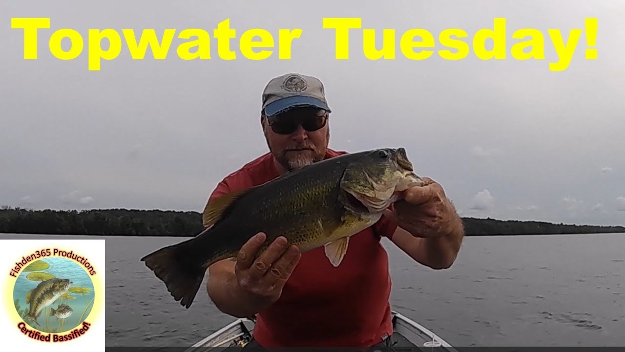 My Secret Bait for Bass Fishing