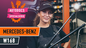 Så byter du gasfjäder baklucka på MERCEDES W168 [AUTODOC-LEKTION]