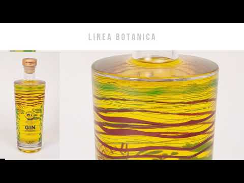 Guarda il video