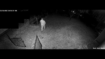 Reolink floodlight testing - Floodlight only