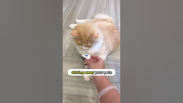 How to scare your cat for their own safety! 🫣