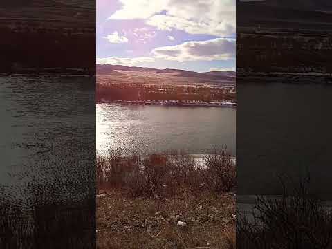 Река Онон (7).#россия,#река,#реки,#shorts,#river,#rivers,#забайкалье,#онон,#красивыеместа,#горы,#1k