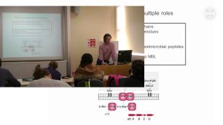 Phylogenetic analysis of pathogens (lecture - part6) -