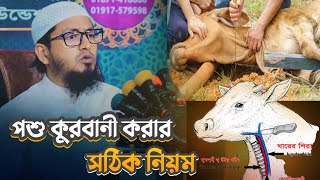 কুরবানীর পশু জবাই করার নিয়ম | কুরবানী করার দোয়া | কুরবানী মাসআলা | মুফতী মুহাম্মদ আলী