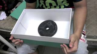 Critical Thinking Assignment