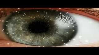 The Ancient Code - Empower Yourself and Manifest Your Destiny!