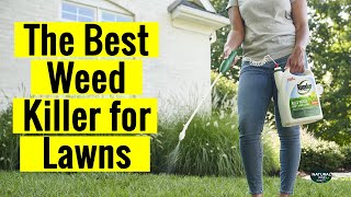 The Best Weed Killer for Lawns | Lawn Care and Weed Control