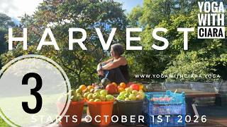 DAY 3 :  HARVEST : 21-Day Yoga Journey with Ciara