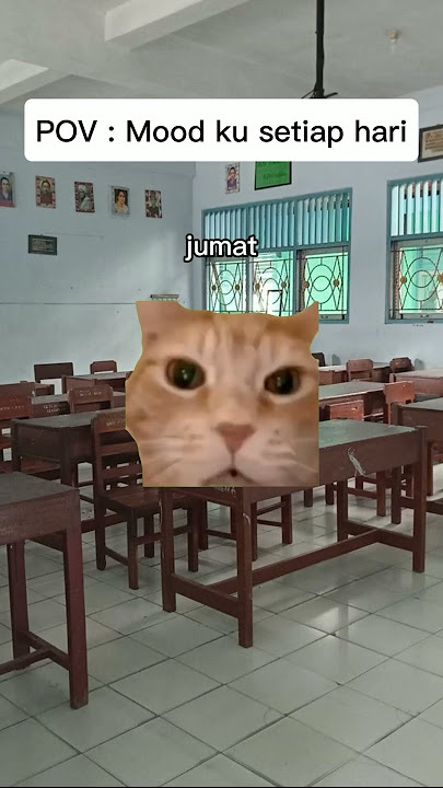 POV : MOOD KU SETIAP HARI *relate kah man teman #cat #kucinglucugemes #kucinglucu #kucing