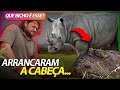 MEU DEUS! ARRANCARAM A CABEÇA DO RINOCERONTE! | RICHARD RASMUSSEN