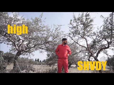 SHVDY HIGH معنى الحياة