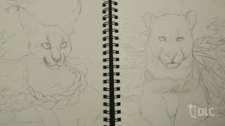 Visual Art 30