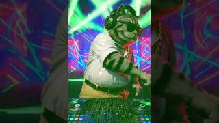 Dj Chonks Fat Cat Groovin Slaps