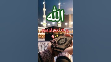 سورة النساء - الآية 116 | تحذير من الشرك | مشهد القرآن أمام الكعبة