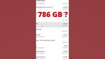 Valorant size 786 GB ?