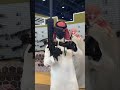 رجل الأسلحة في معرض أبوظبي 2023